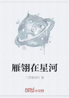 雁翎在星河在線閱讀