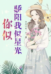 你似骄阳我似星光