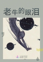 老牛的眼淚在線閱讀