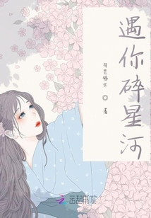遇你碎星河