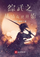 綜武之從錦衣衛(wèi)開(kāi)始在線閱讀