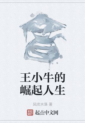 王小牛的崛起人生在线阅读