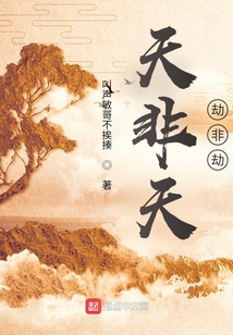 天非天，劫非劫