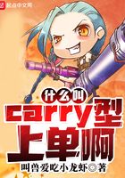 什么叫Carry型上单啊