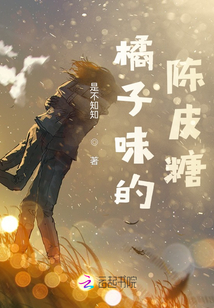 橘子味的陳皮糖