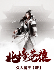北境苍狼 cover