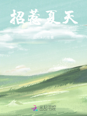 招惹夏天在线阅读