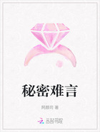 秘密难言在线阅读