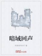 暗域回声在线阅读