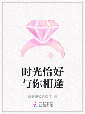 时光恰好与你相逢在线阅读