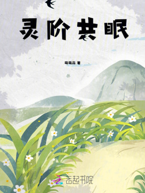 灵阶共眠在线阅读