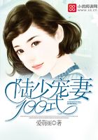 陆少宠妻100式在线阅读