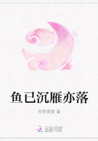 魚已沉雁亦落在線閱讀