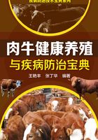 肉牛健康养殖与疾病防治宝典