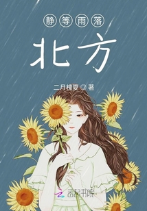 靜等雨落北方