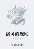 洛可的規(guī)則在線閱讀