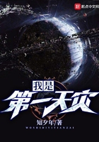 我是第一天灾在线阅读