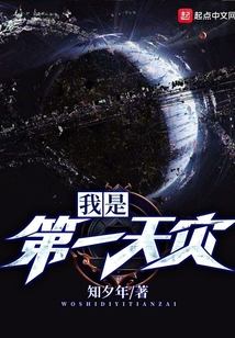 我是第一天灾