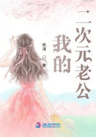 我的二次元老公在线阅读