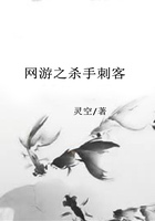 網游之殺手刺客在線閱讀
