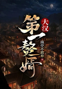 大漢第一贅婿