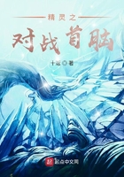 精灵之对战首脑