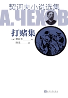 契訶夫小說選集·打賭集在線閱讀