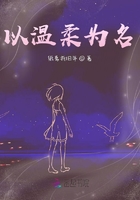以溫柔為名在線閱讀