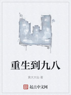 重生到九八在线阅读
