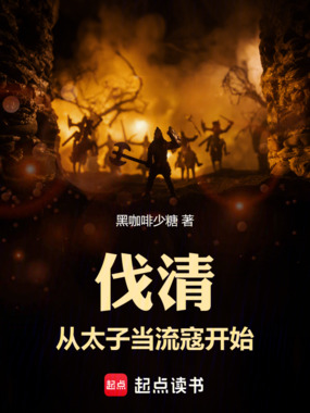 伐清：从太子当流寇开始在线阅读
