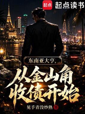 东南亚教父，从金山角收债开始在线阅读