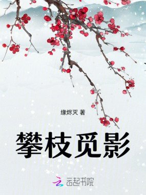 攀枝觅影在线阅读