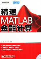 精通MATLAB金融计算