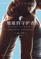 姐姐的守护者在线阅读