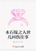 木石緣之人世幾回傷往事在線閱讀
