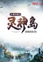 玄魂靈域之靈神島在線閱讀