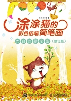 涂涂猫的彩色铅笔简笔画：大自然藏宝图（修订版）