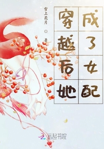 穿越后她成了女配