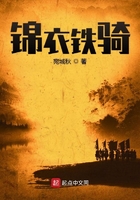 錦衣鐵騎在線閱讀