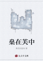 燊在芙中在線閱讀