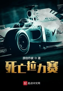 賽車拉力賽