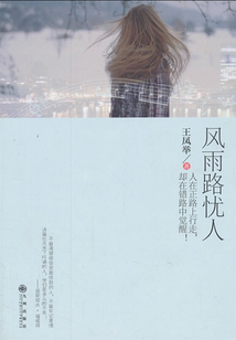 風(fēng)雨路憂人