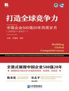 打造全球竞争力：中国企业500强20年风雨岁月（2002—2021）在线阅读