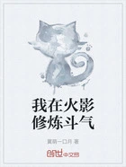 我在火影修炼斗气在线阅读