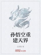 孙悟空重建天界在线阅读
