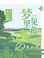 梦里见他在线阅读