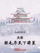 大宋,朕屯尽天下将星!在线阅读