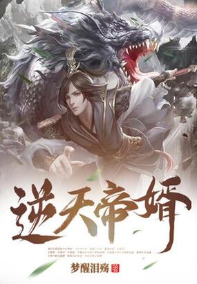 逆天帝婿-梦醒泪殇在线阅读