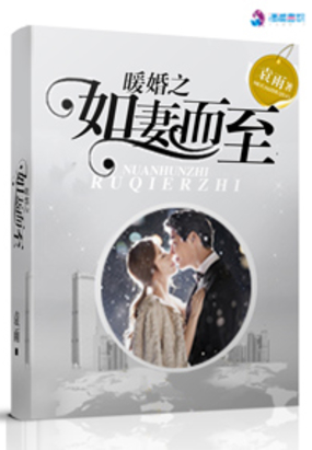 暖婚之如妻而至在线阅读