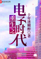 重生之电子时代在线阅读